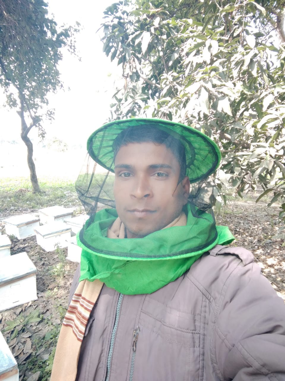मधुमक्खी पालन प्रशिक्षण — तस्वीर 1