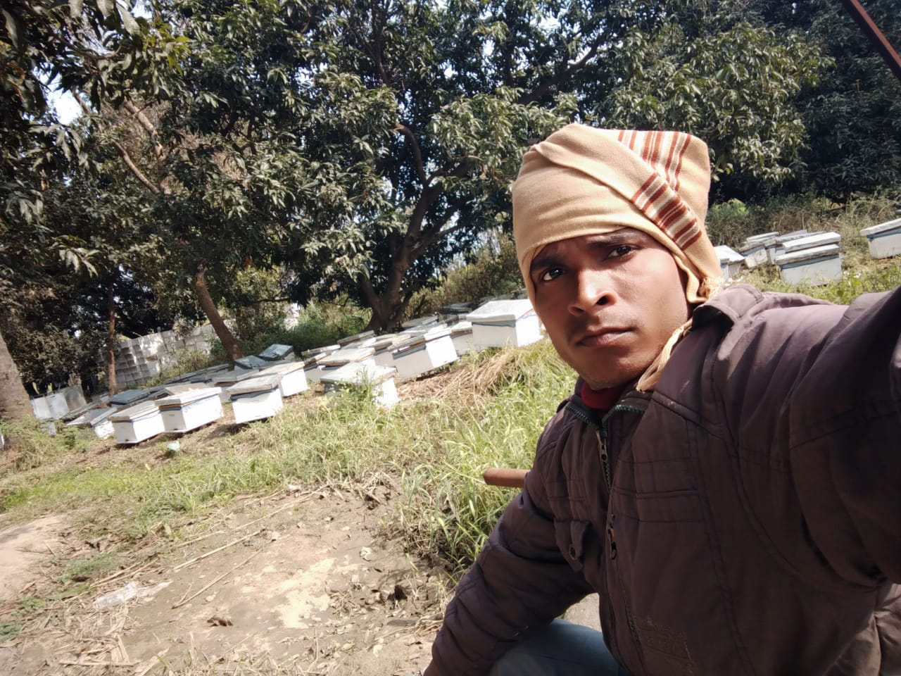 मधुमक्खी पालन प्रशिक्षण — तस्वीर 3